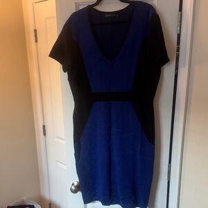 New York & Company Blue and Black Dress